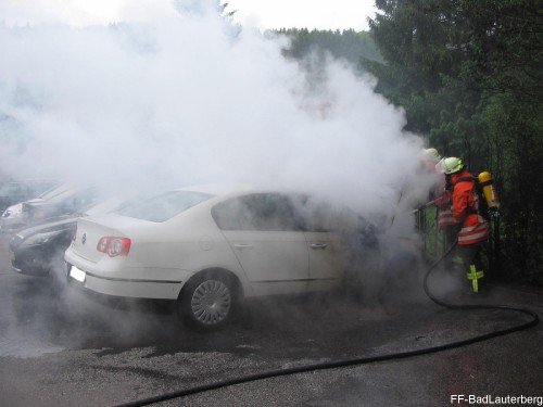 2009_05_16 PKW Brand Revita 005